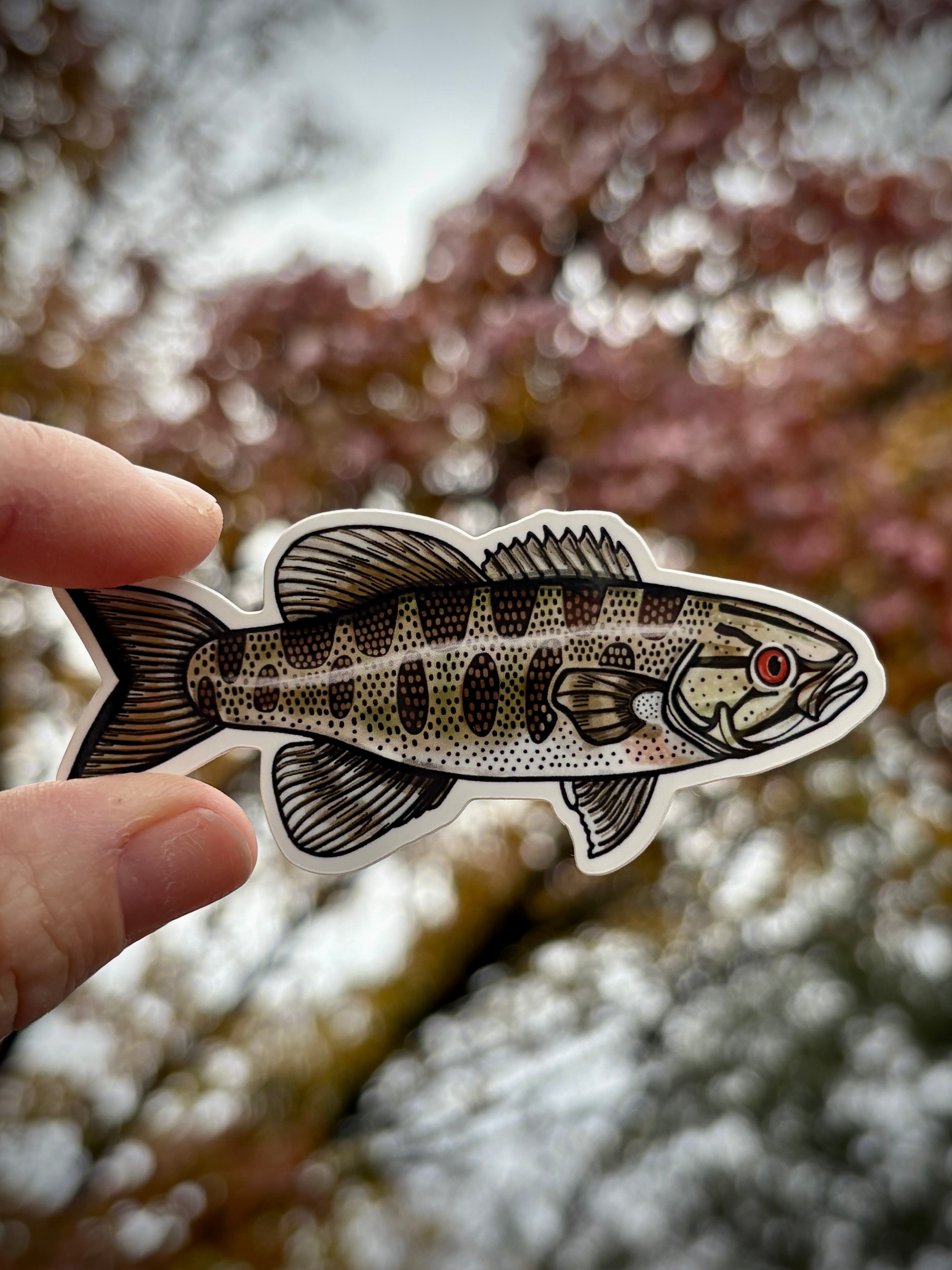 Small Mouth Bass Glossy Vinyl Sticker