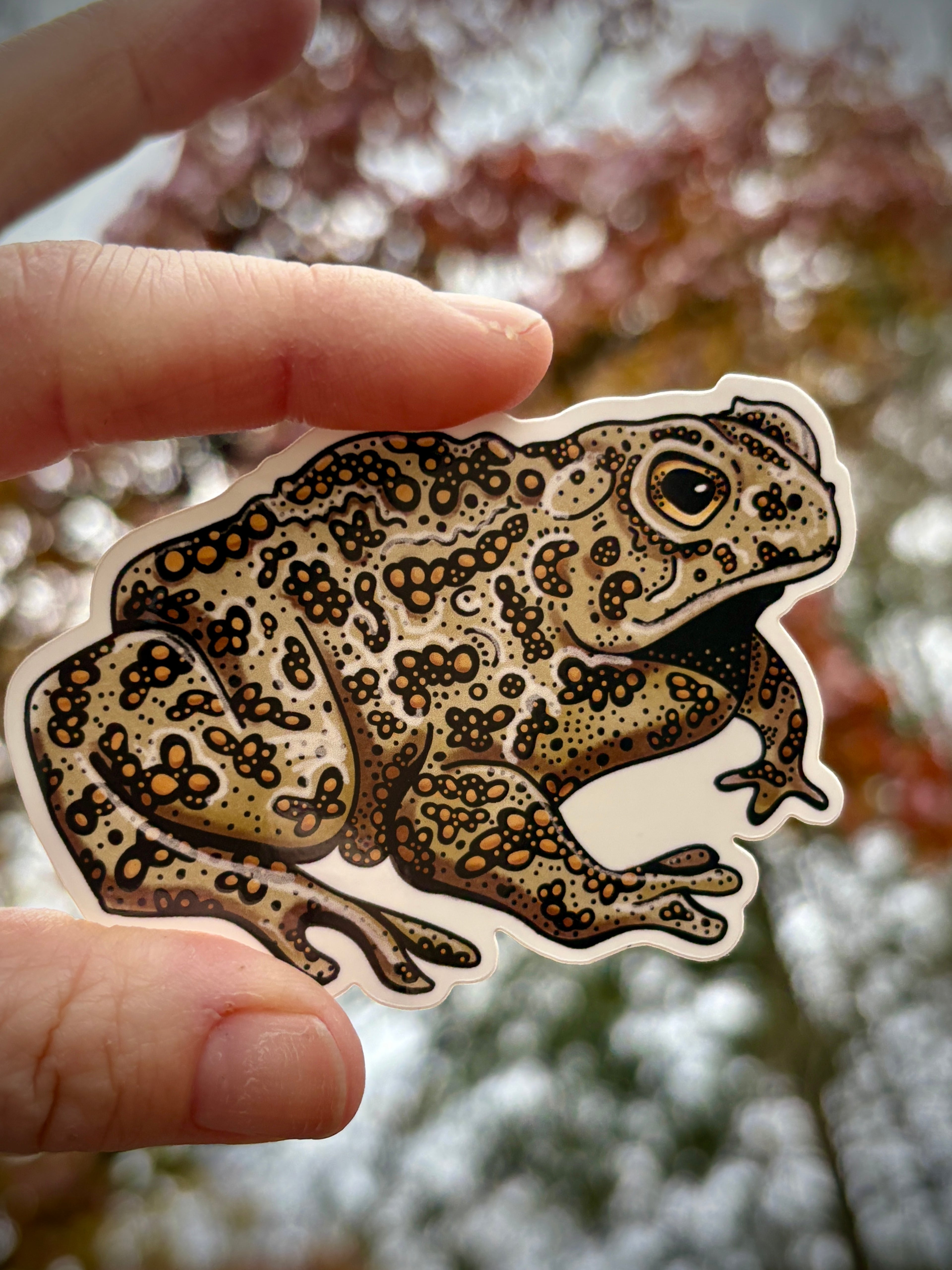 Toad, Glossy Vinyl Sticker