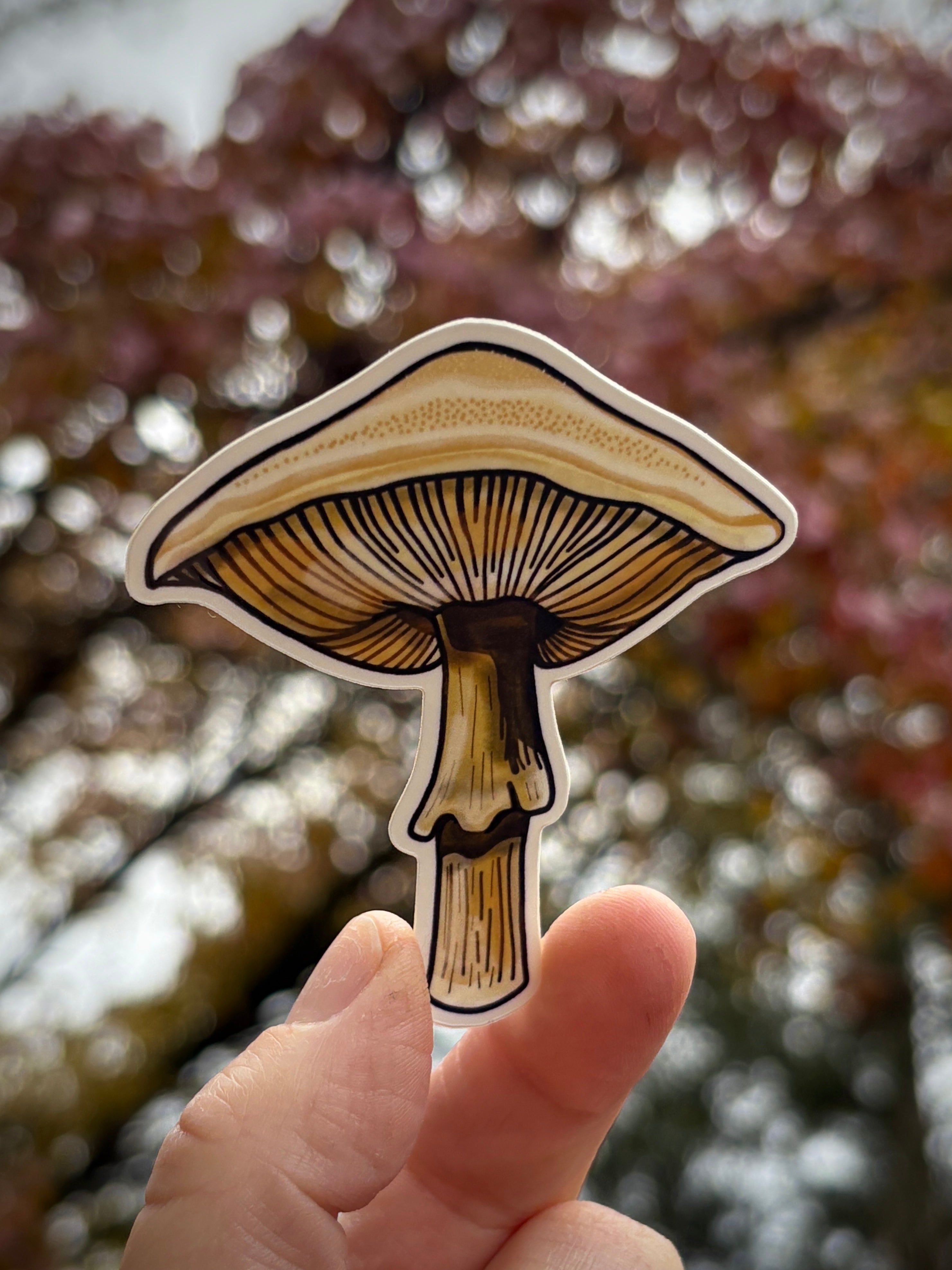 Honey Mushroom, Glossy Vinyl Sticker